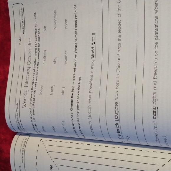 Teacher Resource second grade Studies Weekly 2 - Picture 14 of 16